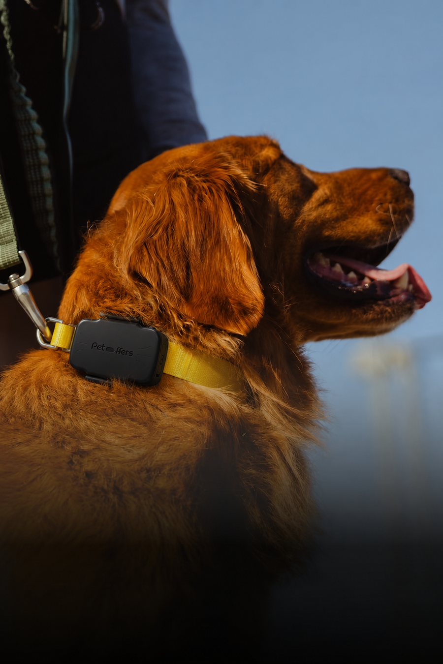 The Tracker
